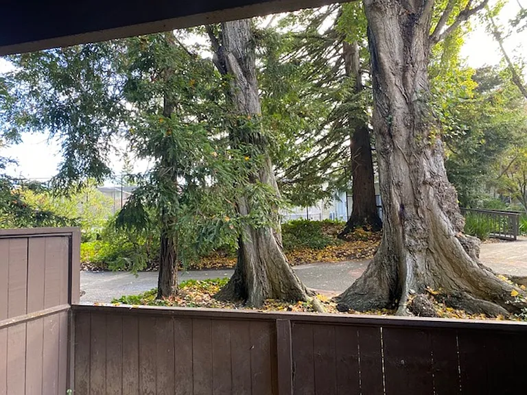 2159 Shelter Creek Ln — Photo 7