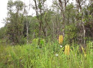 Road 12 LOT 662, Volcano, HI 96785