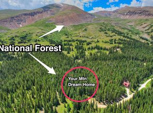 0 Nugget Rd, Alma, CO 80420