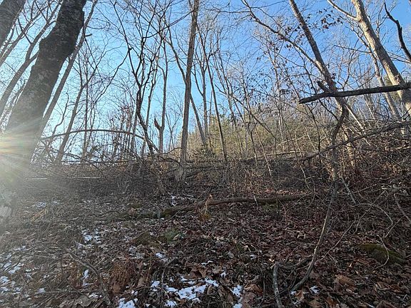 5th image of Williams Ln