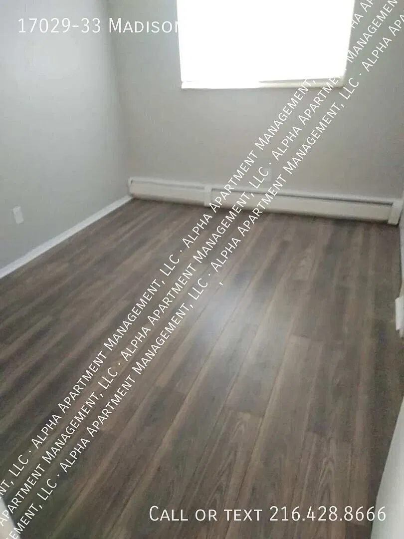 Spacious 1bd/1ba In Lakewood, OH! — Photo 3