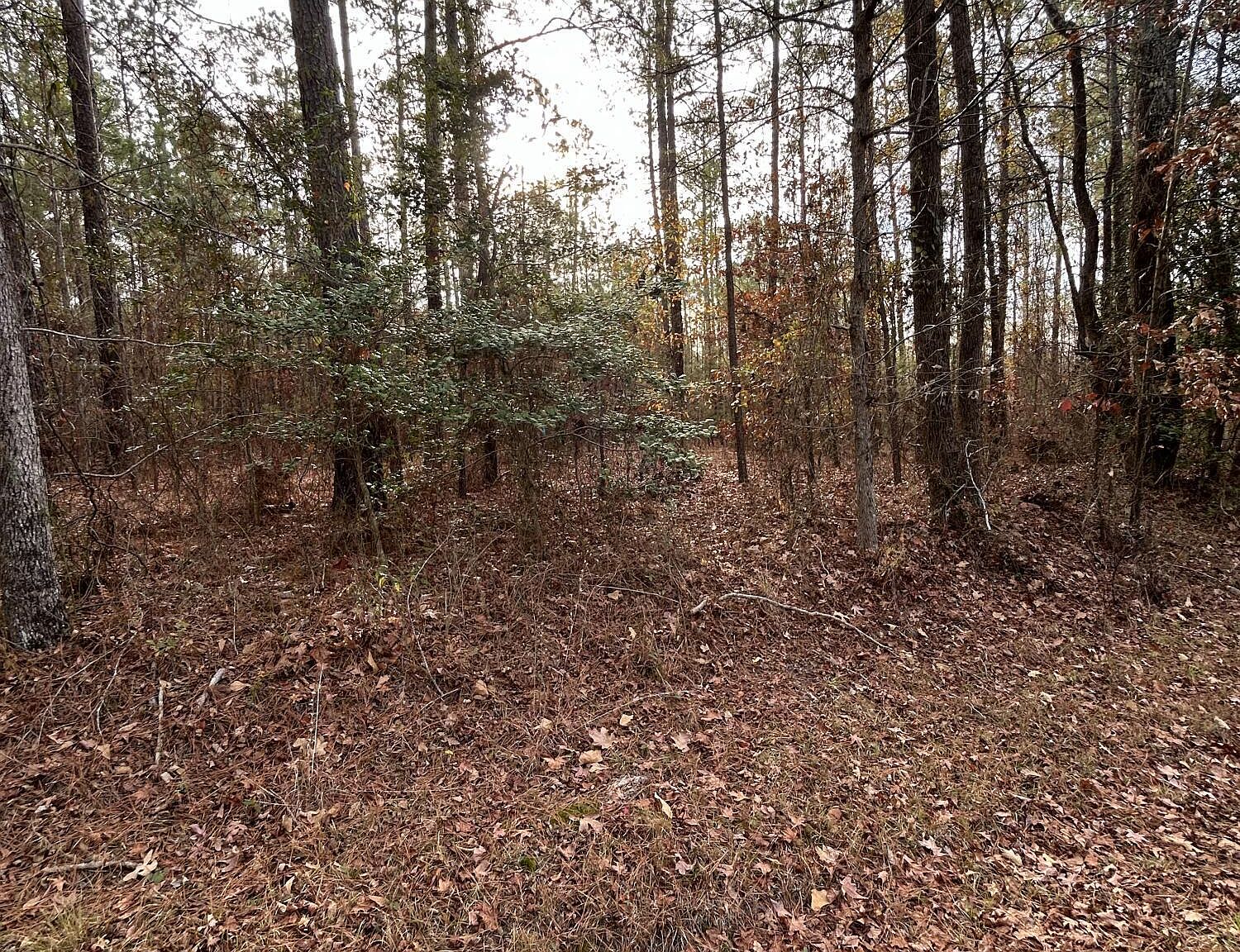 4055 Niagara Carthage Road, Carthage, NC 28327 Zillow