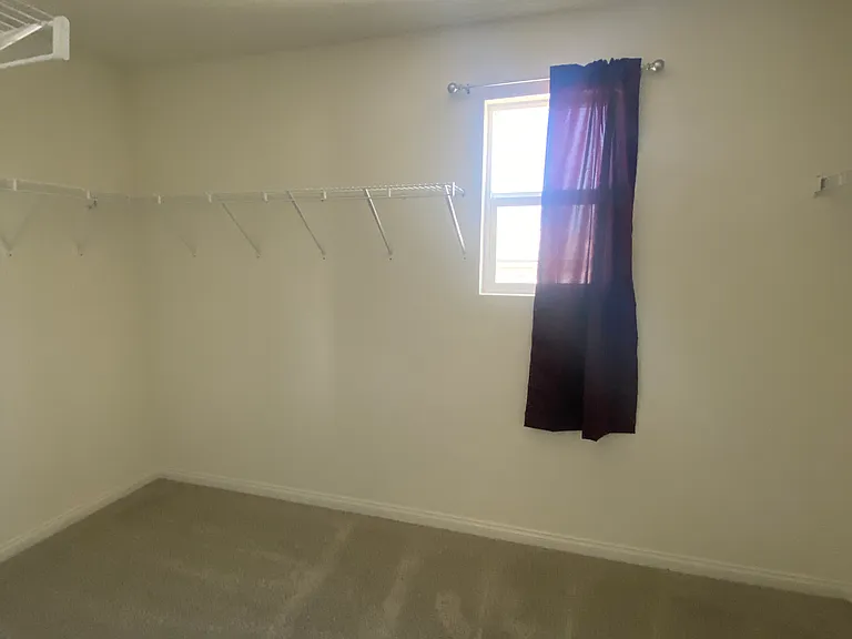 20097 Lemonscent Dr — Photo 3