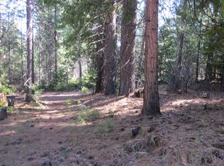 9986 Grizzly Flat Rd, Grizzly Flats, CA