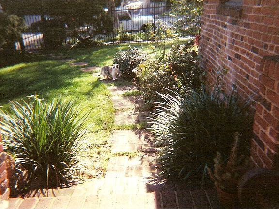 Front porch to street view