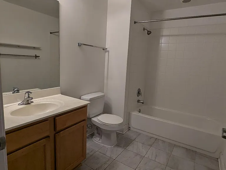 1305 S Michigan Ave #1109 — Photo 6