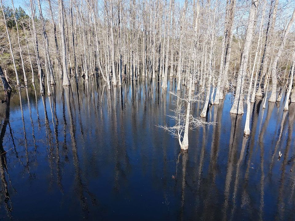 Dji Fly 20260317 162358 0056 1773860877419 Photo