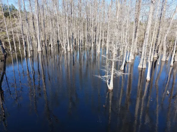 0 Macedonia Rd, Ellisville, MS 39437