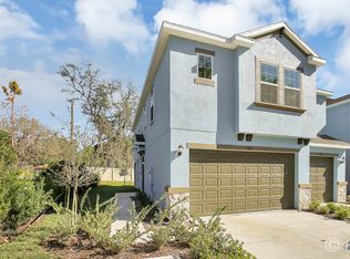 6887 Citrus Creek Ln, Tampa, FL 33625