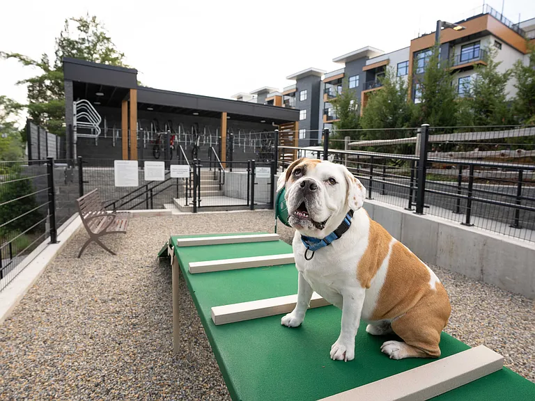 The Alice Pet Park