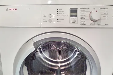 Rented by Bold New York