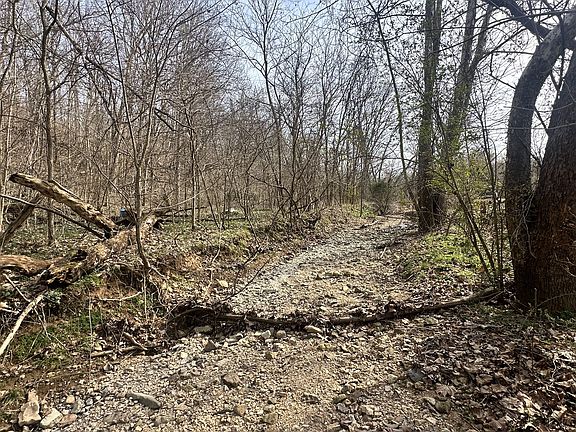 5th image of 210 Trotter Rd