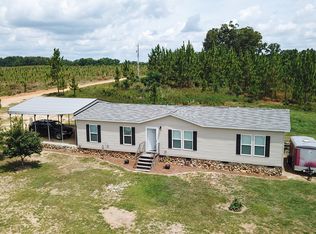 20 McAnally Rd, Hawkinsville, GA 31036