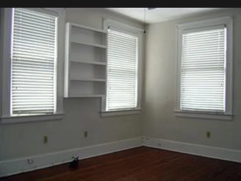 203 E Gwinnett St #1 — Photo 5