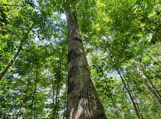 Pleasant Valley Rd, Vinton, OH 45686