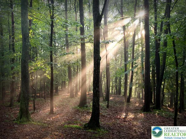 190 Williams Ln, Scotrun, PA 18355