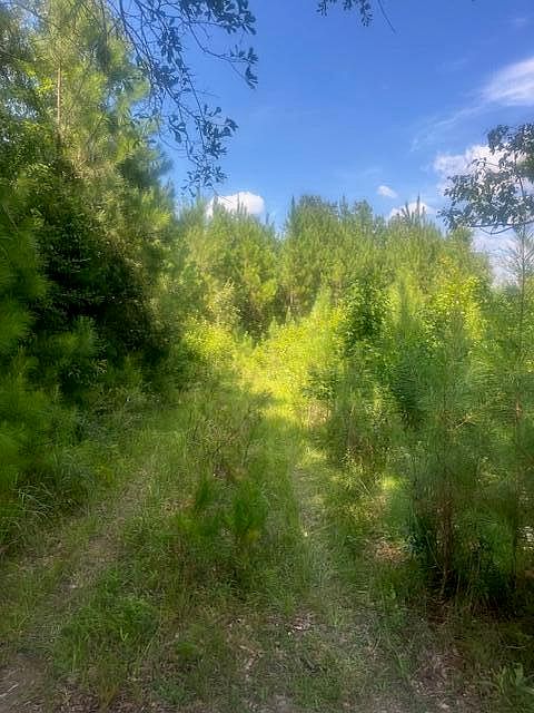 1st image of 37.42 Ac Hwy #98