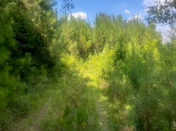 37.42 Ac Hwy #98, Lucedale, MS 39452