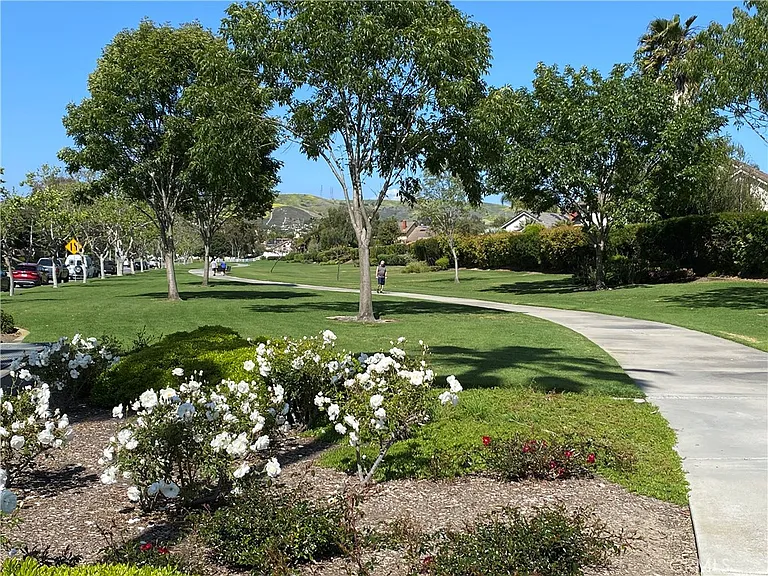 2897 Calle Heraldo — Photo 23