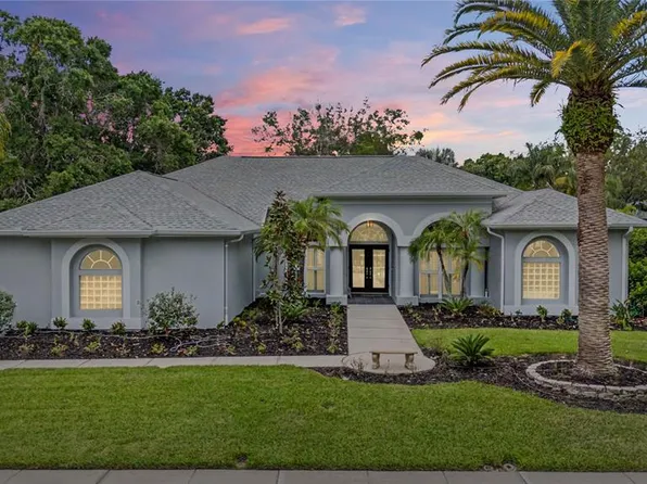 3692 Johnathon Ave, Palm Harbor, FL 34685