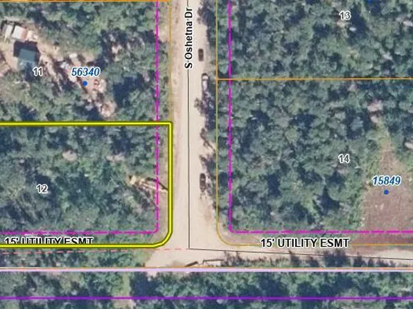 L12 S Oshetna Dr, Willow, AK 99688