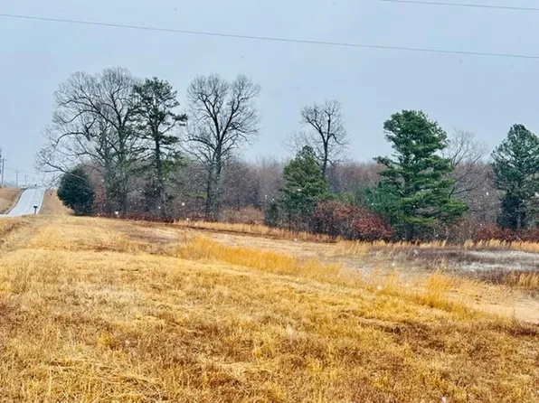 Tbd County Road 338, Dora, MO 65637