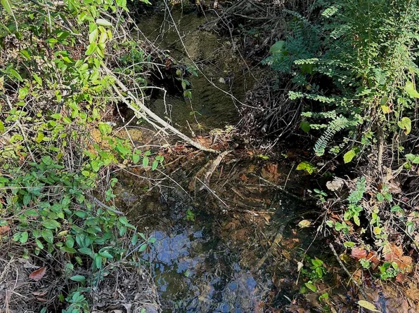 669 Goff Rd, Booneville, AR 72927