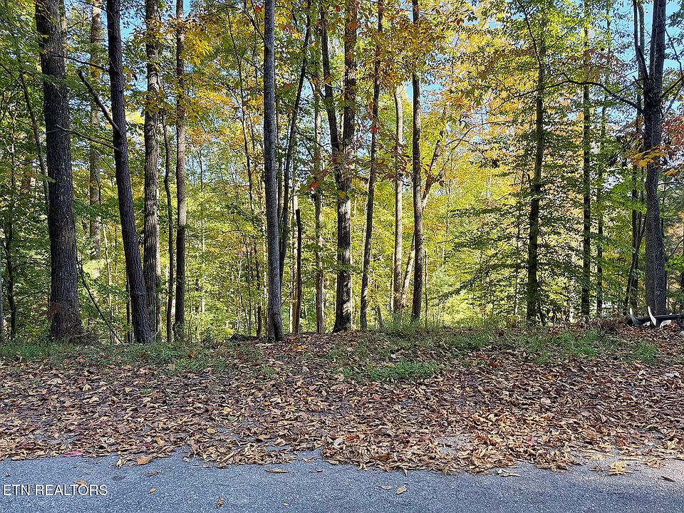 2nd image of 159 Pineridge Loop