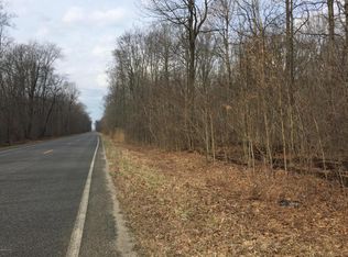 11000 Wildwood Rd, Shelbyville, MI 49344