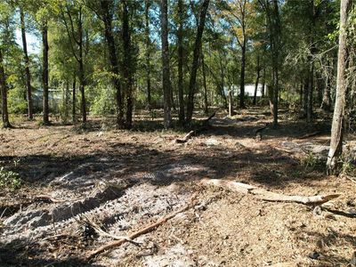 NW 7th Pl Lot 15, Ocala, FL, 34482