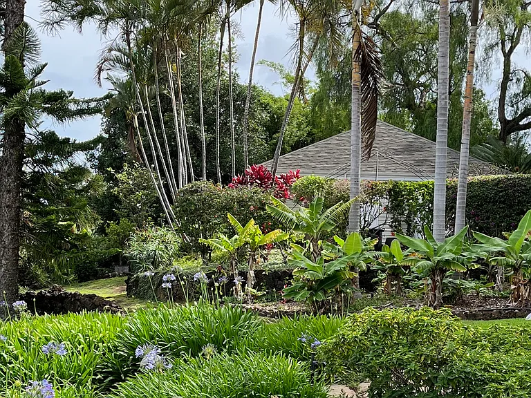 Outlook from the back door