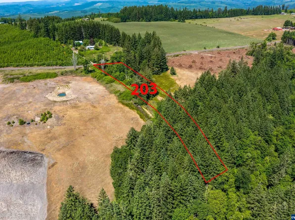 Marks Ridge Lot 203 Dr, Lebanon, OR 97355