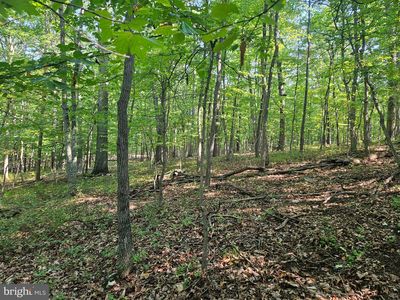 Brandy Rd, Front royal, VA, 22630