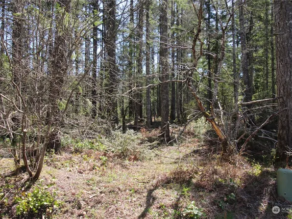 80 N Carp Place, Hoodsport, WA 98548