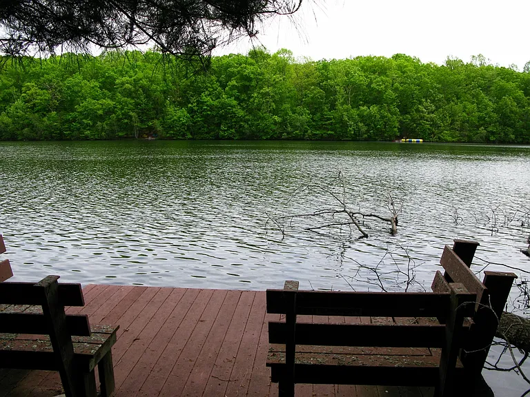 392 Hallowood Dr — Photo 10