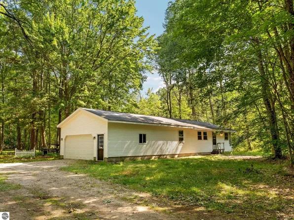 18150 Stronach Dam Rd, Wellston, MI 49689