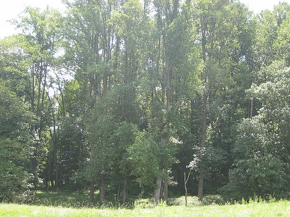 Beautiful mature forests balance the pastures.