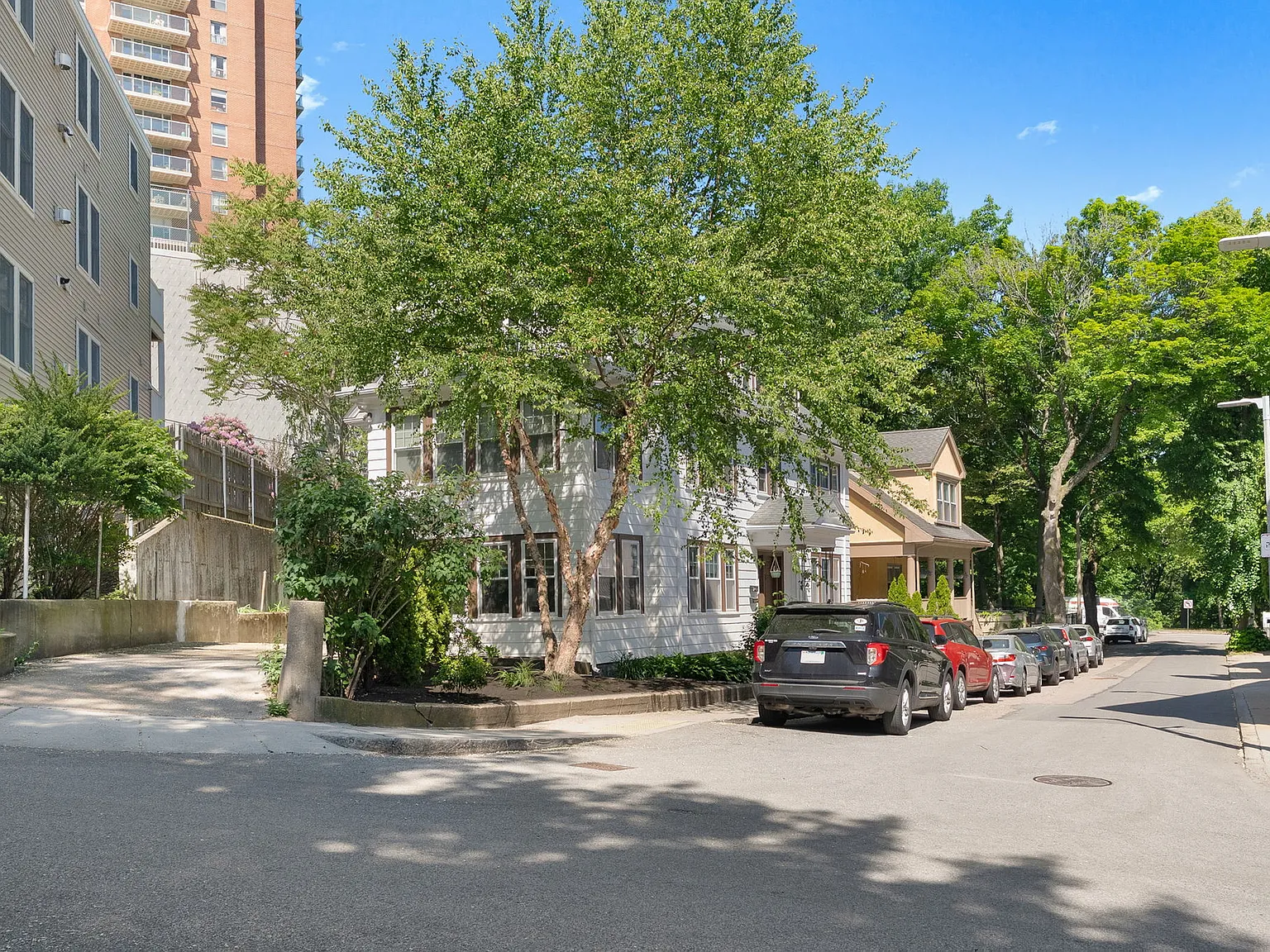 1 bed, 156 sqft, $1,450 — Photo 4