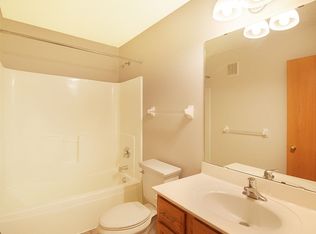 743 Riesgraf Rd, Carver, MN 55315