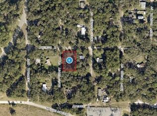 25040 E Avenue B LOT 139, Paisley, FL 32767