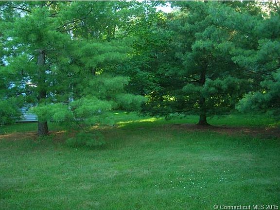 Backyard view