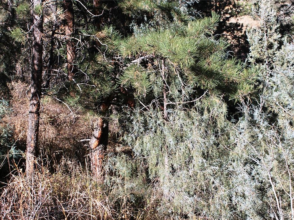 Lot A Pine Slope Road Lot A, Idaho Springs, CO 80452 Zillow