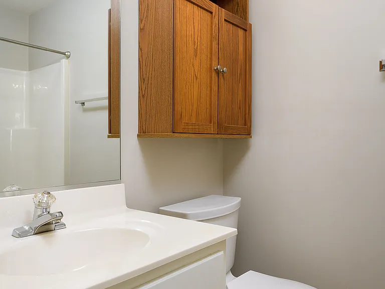 323 Ivy Glen Ct — Photo 20