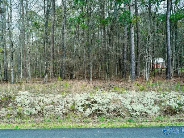 LOT 13 Hiawatha Pl, Rainbow City, AL 35906