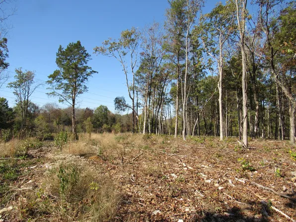 0 Morgan Rd Lot 1, Rockvale, TN 37153