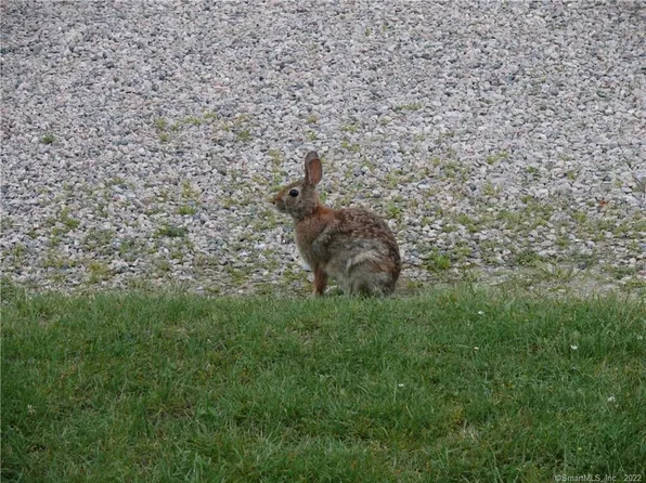 0 New London Lot 145 1 5a Turnpike, Stonington, CT 06378