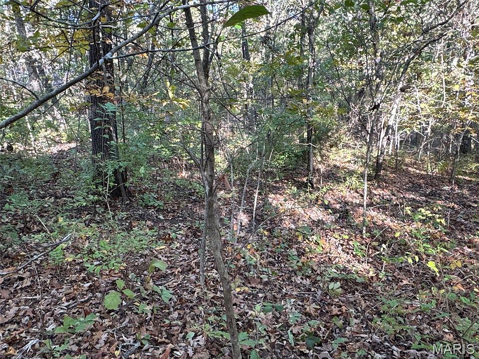 1st image of 9754 Brenda Ct