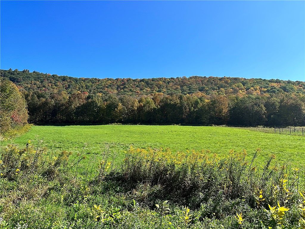 28 Betty Brook Rd, South Kortright, NY 13842 MLS R1501858 Zillow