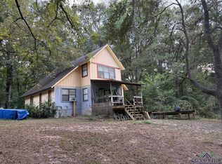 2766 Brandy Rd, Diana, TX 75640