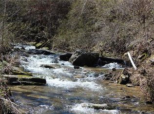 64 Beasley Cove Rd, Hot Springs, NC 28743